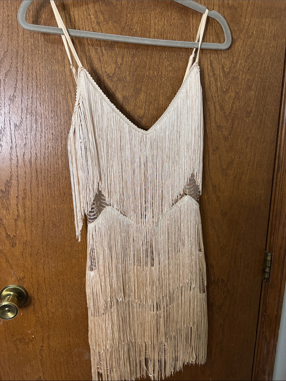 Lulus Get in the Groove Champagne Sequin Fringe Mini Dress NWOT